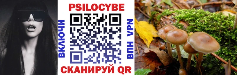 купить наркоту shop телеграм hydra ссылка Галлюциногенные грибы прущие грибы Ртищево